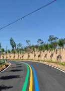 蘇州道路劃線反光漆多少錢一個(gè)平方？